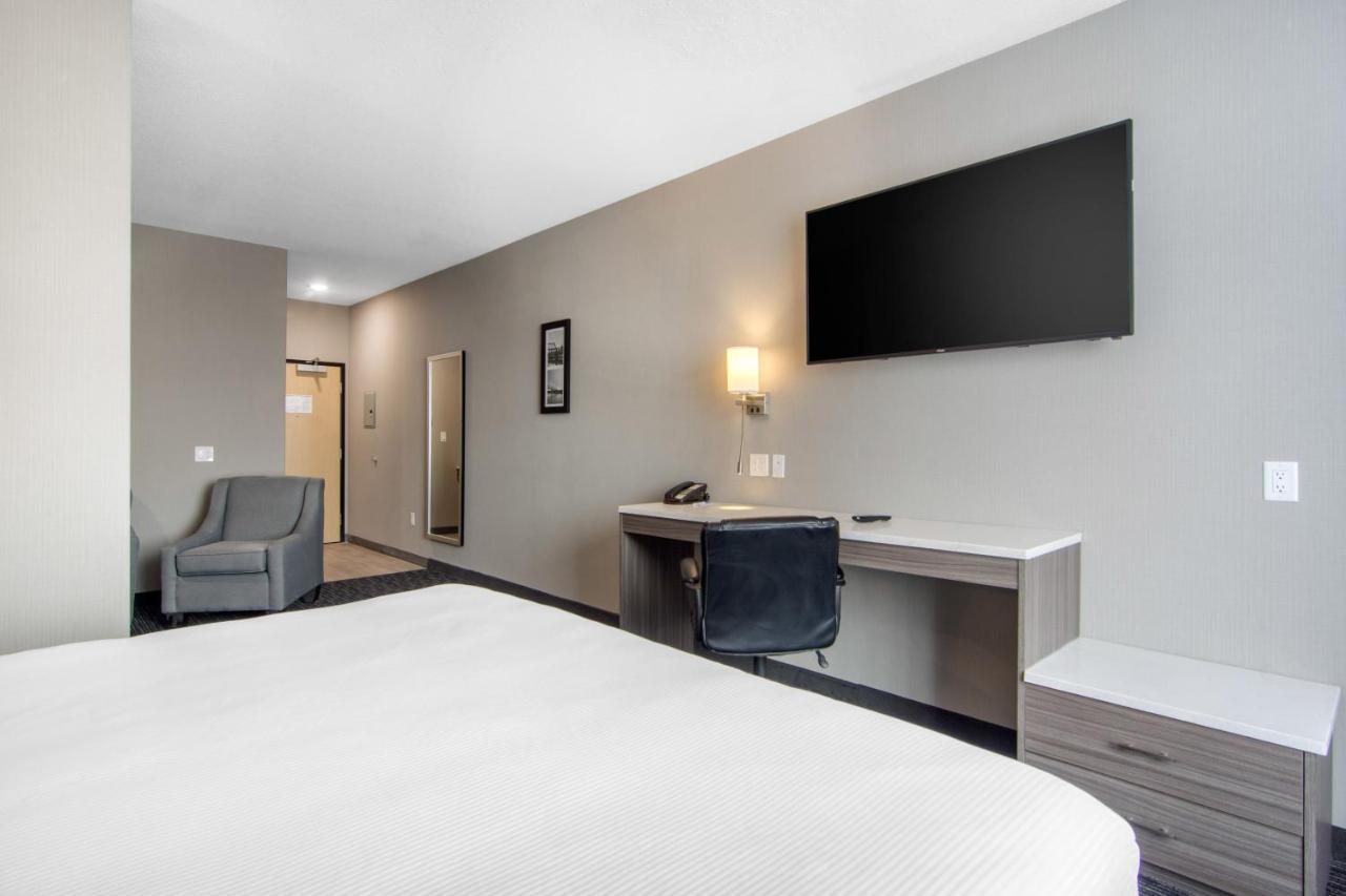 Comfort Inn & Suites North Battleford Exterior foto